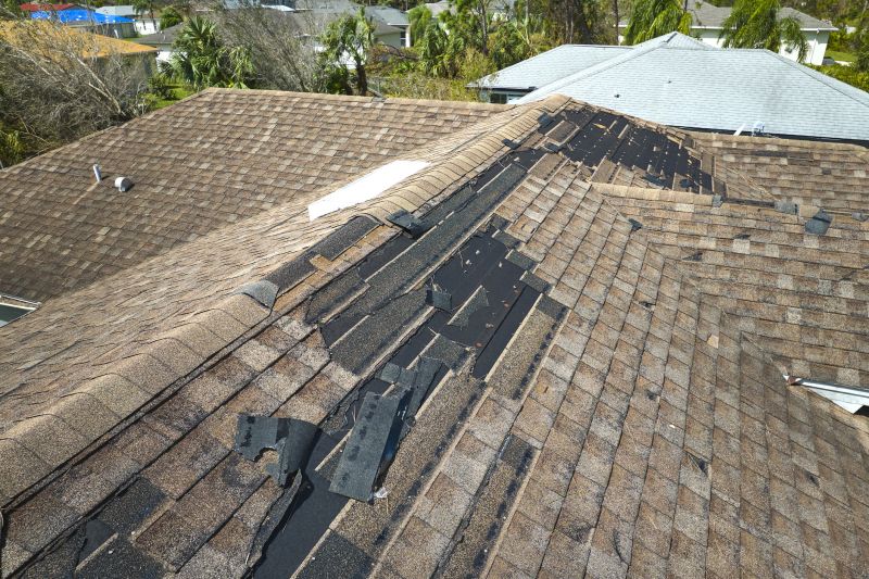 Roof Repair Image